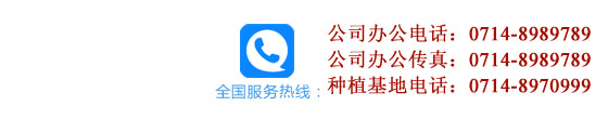 服務(wù)熱線(xiàn)